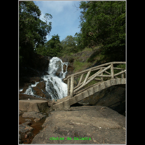 dalat